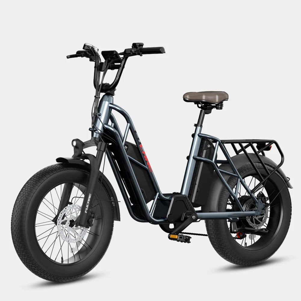 Fucare Gemini Step-Thru Electric Cargo Bike