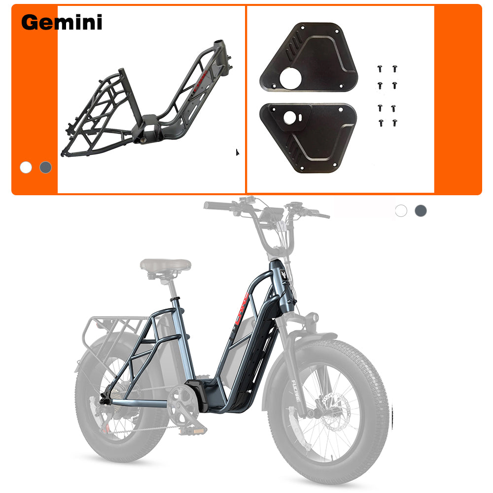 Gemini Frame